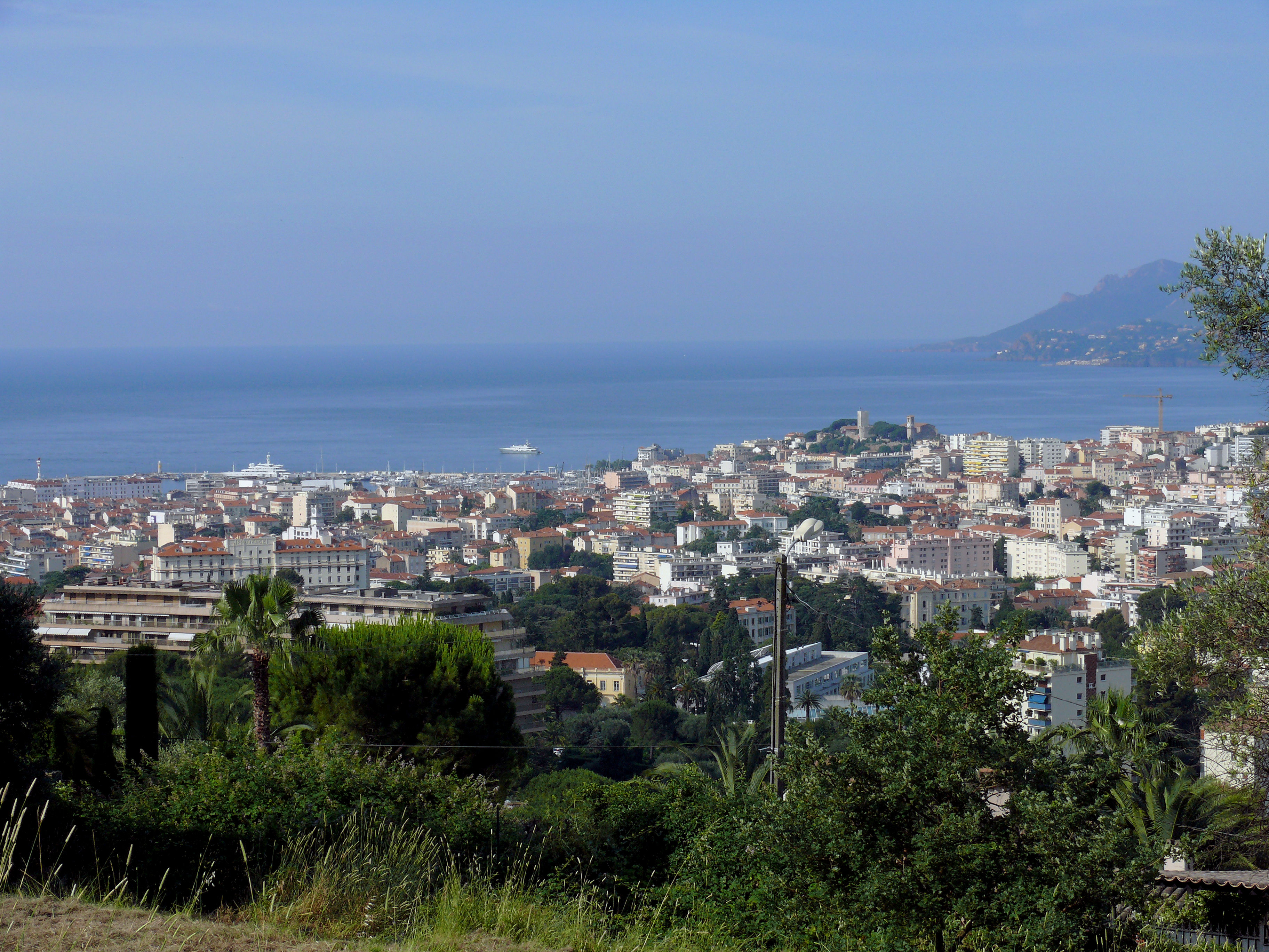 Bureaux Alpes-maritimes - Location de bureaux à le Cannet (06110)